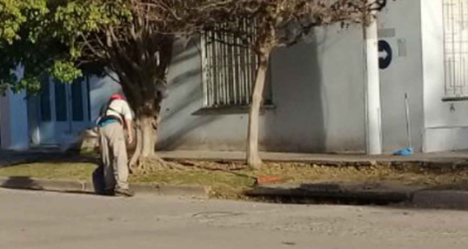 Atrapado tirando hojas en el desagüe