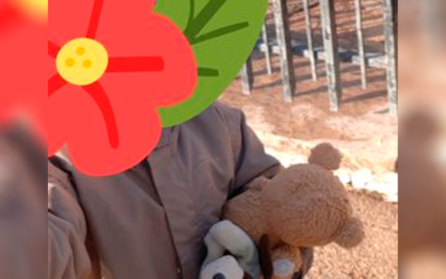 Buscan el osito de apego de una niña con autismo