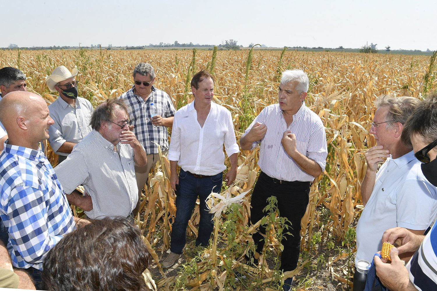 El gobierno convocó a las entidades agropecuarias para evaluar medidas ante la sequía