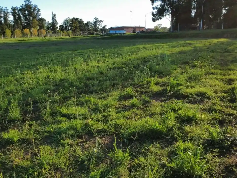 Cancha Campus Universitario - 3