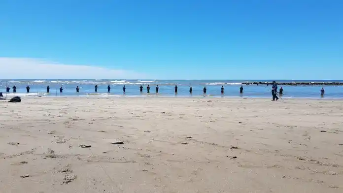 De Argentina, los proyectos seleccionados fueron el suyo y el de una bióloga de Puerto Madryn.