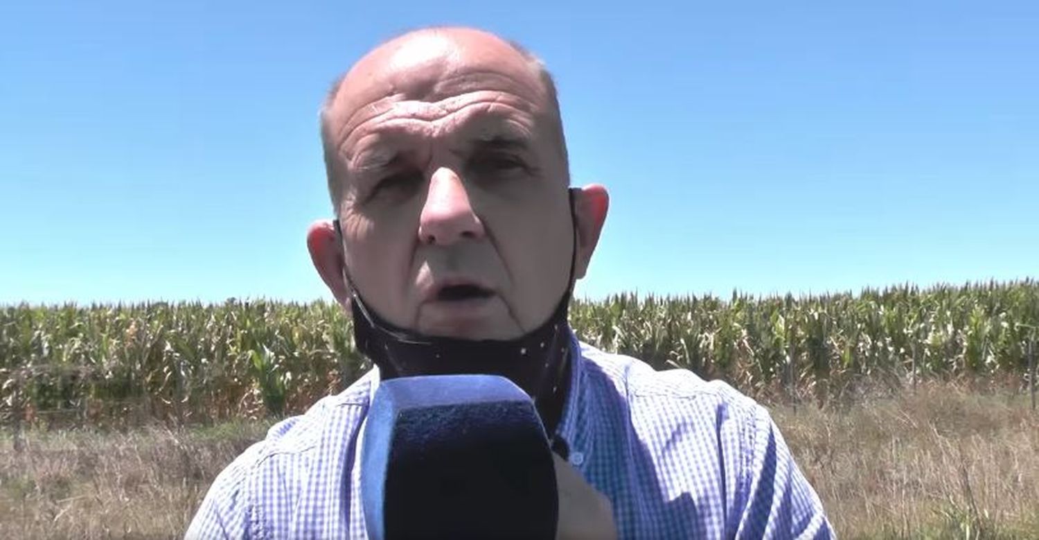 Intendente de Pehuajó calificó de "vergonzoso paro de la Sociedad Rural" a cese de comercialización