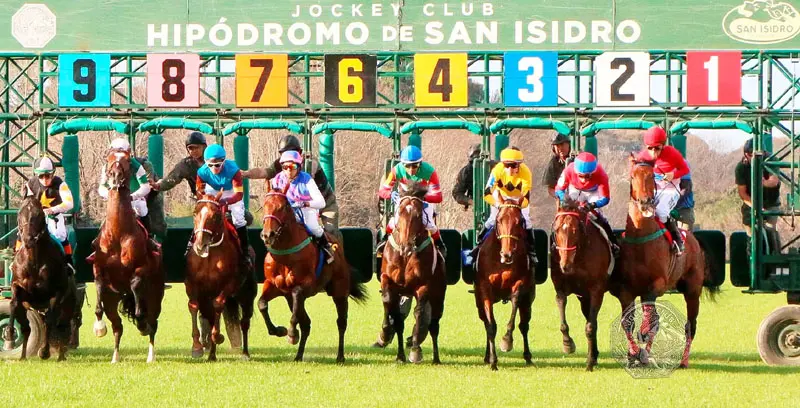 Miércoles 1: Actividad Hipódromo de San Isidro