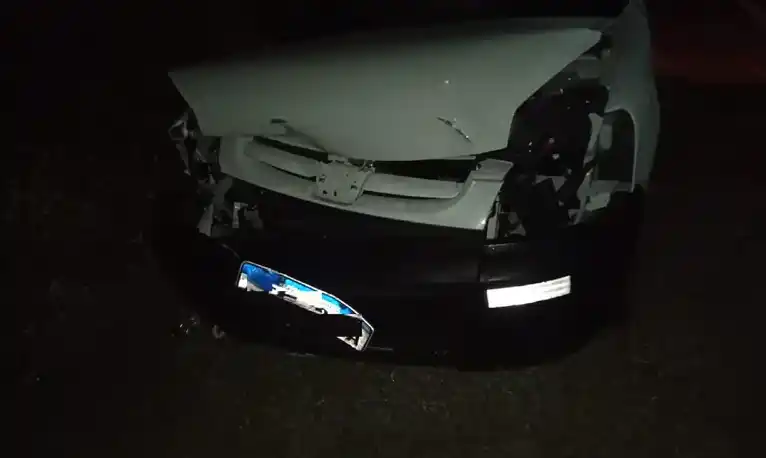 Un conductor impactó contra un guazuncho en una ruta entrerriana