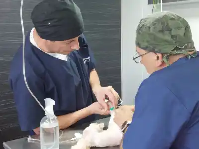 Venado: el programa “Orejas Verdes” abre noviembre con tres jornadas