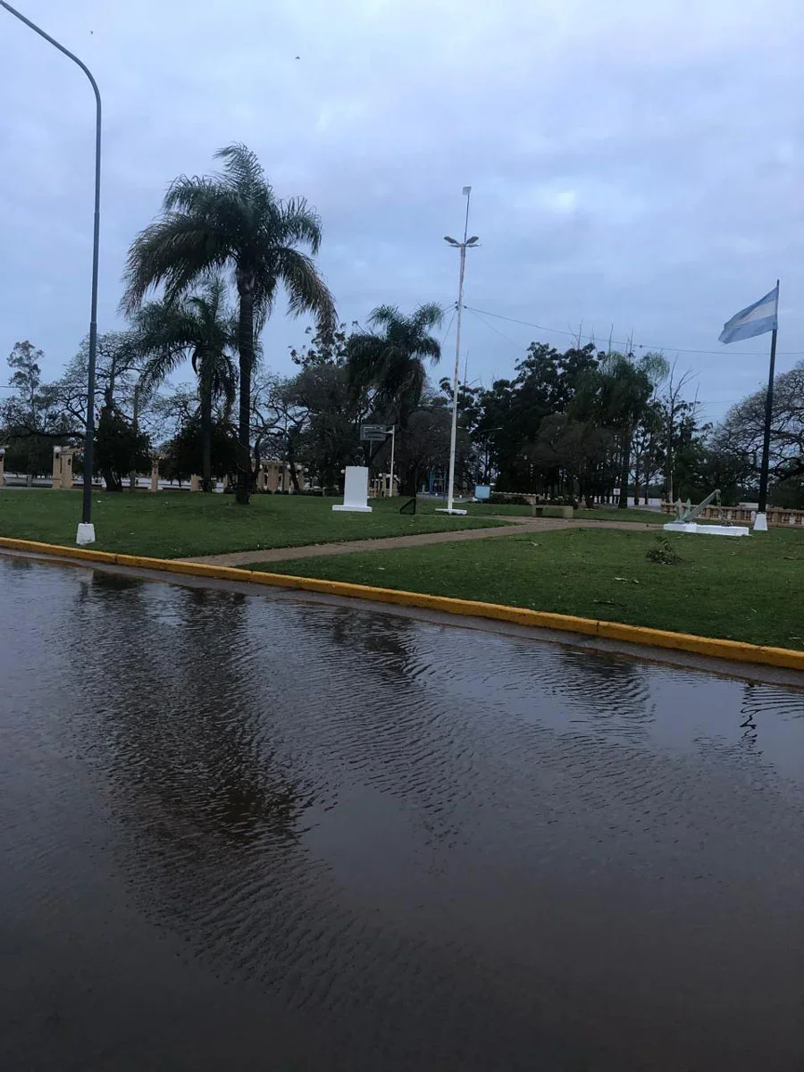 Miniatura de imagen 15