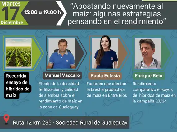 Recorrida de ensayos de maíz