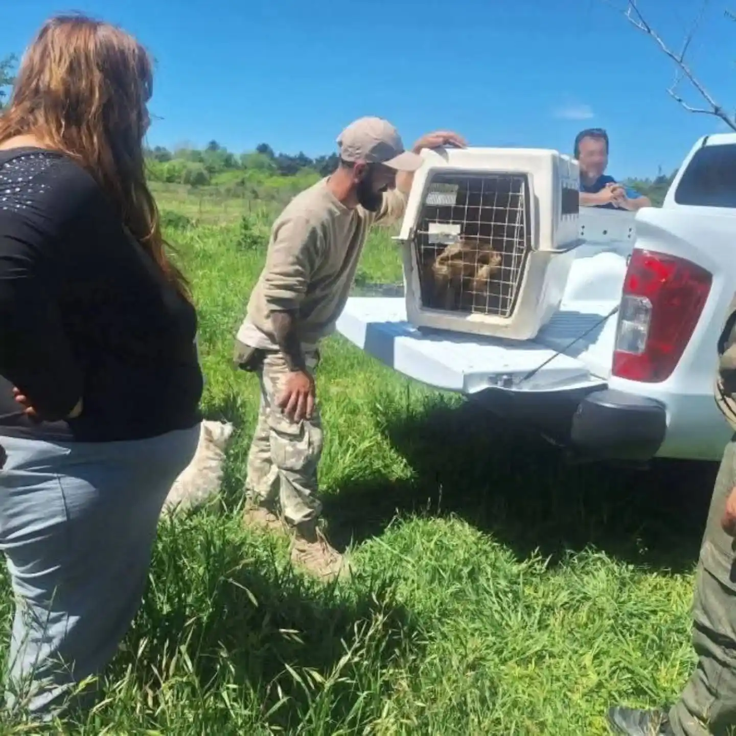 Rescatan un mono carayá en General Galarza