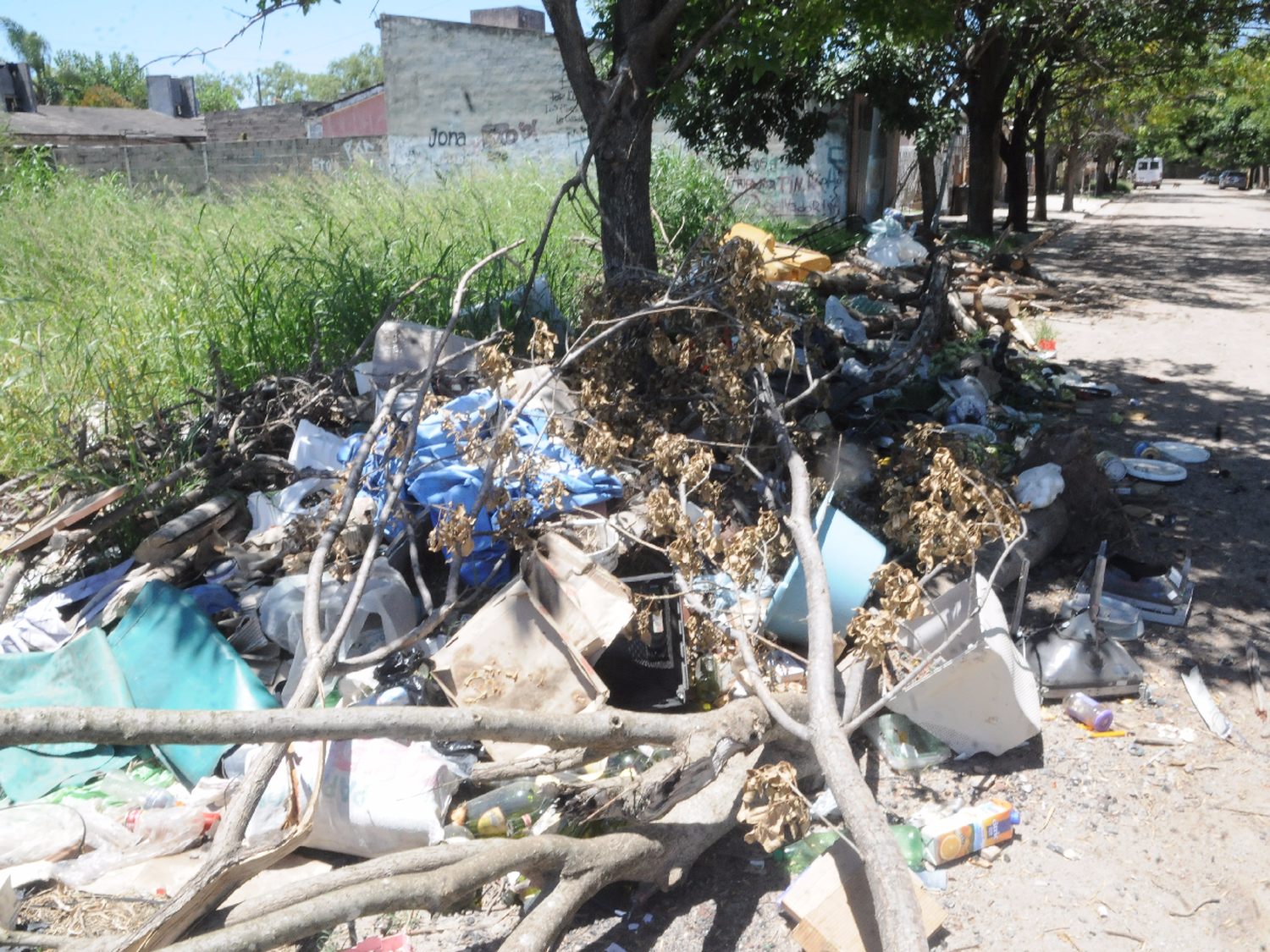 Basura y malezas: postal veraniega