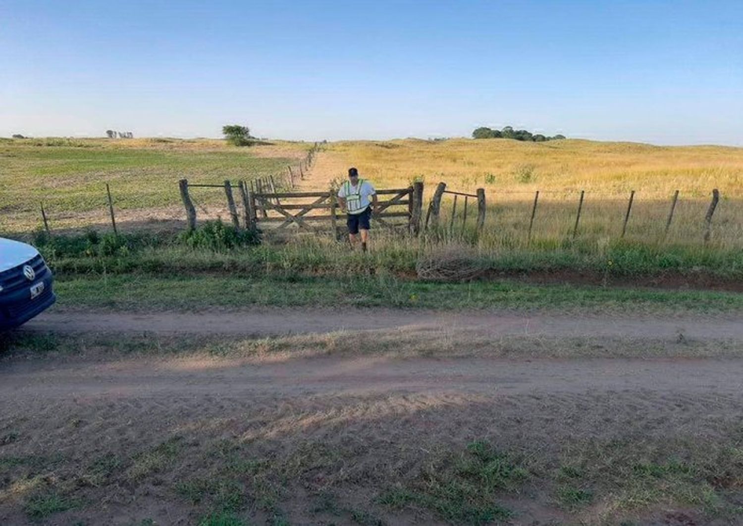 Un productor radicado en  Tandil sufrió el robo de más  de 500 vacunos en La Pampa