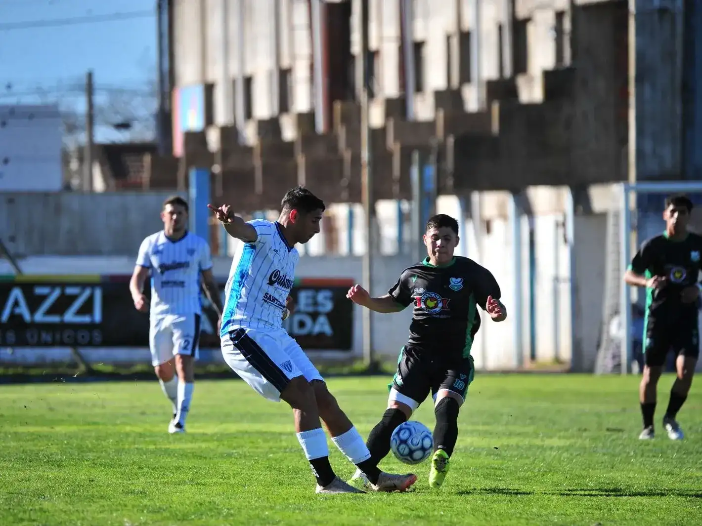 Juventud regional
