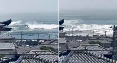 Sismo en el Pacífico y riesgo de tsunami: el análisis de una especialista de la Universidad Austral