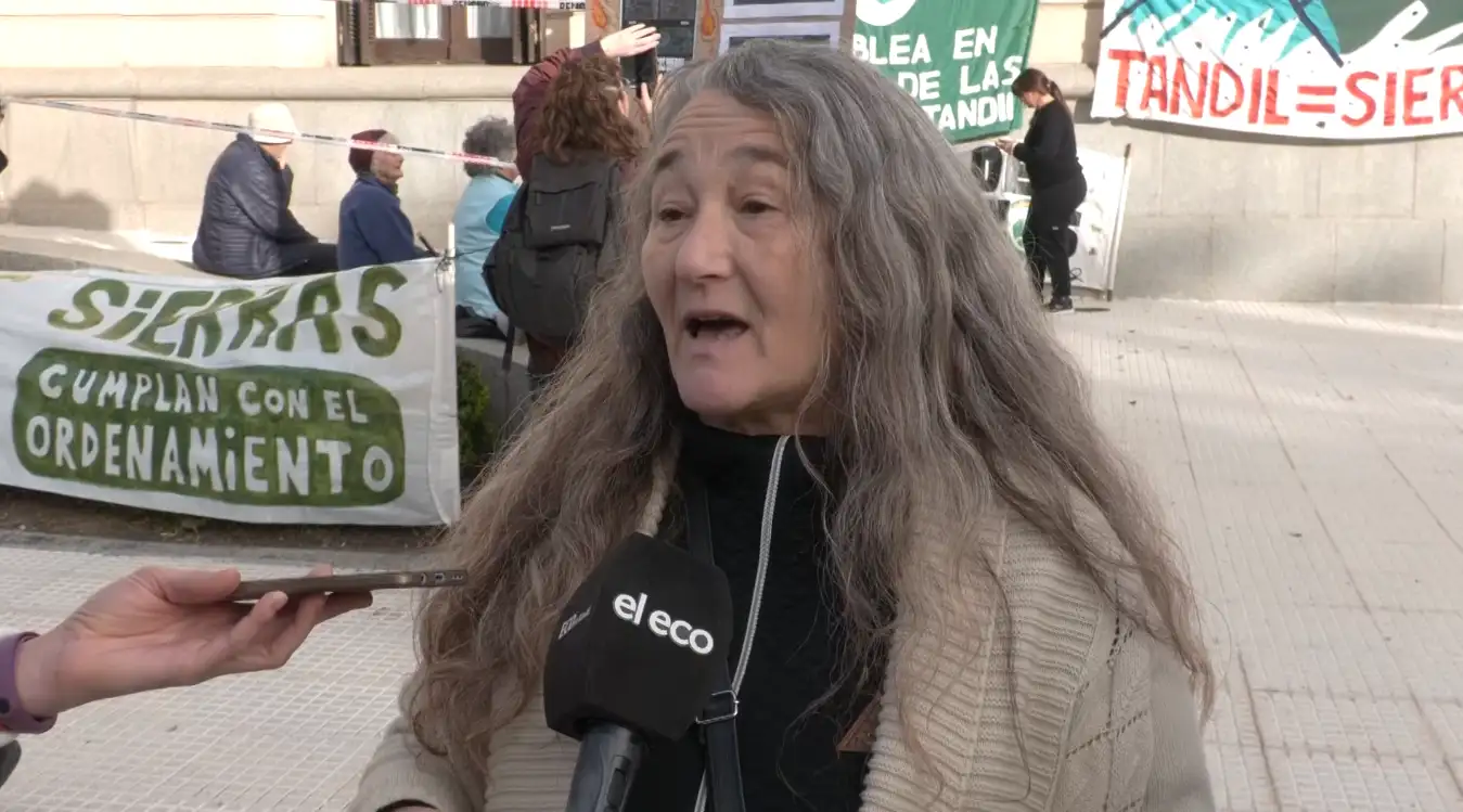 ana fernandez asamblea