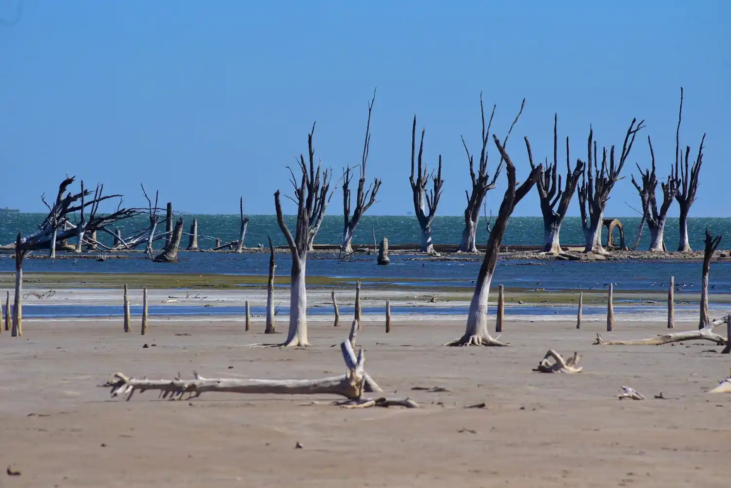 Ansenuza: agredieron a inspectores tras descubrir un desmonte