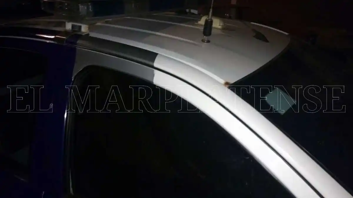 Le robó a una mujer y rompió un vidrio para escaparse