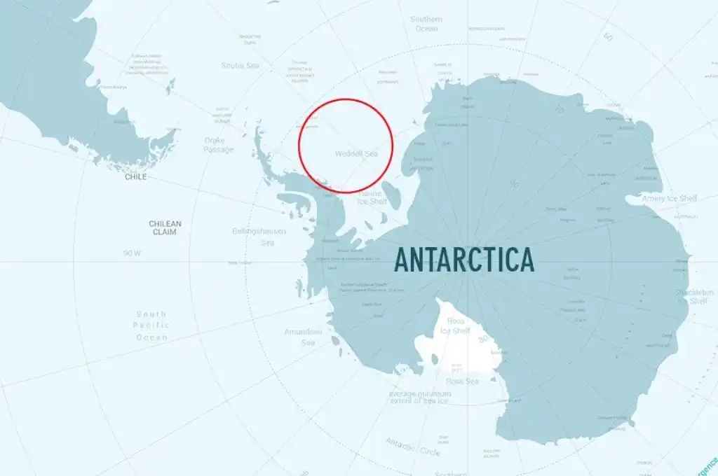 Hallan una colonia con 60 millones de nidos de “peces de hielo” en la Antártida