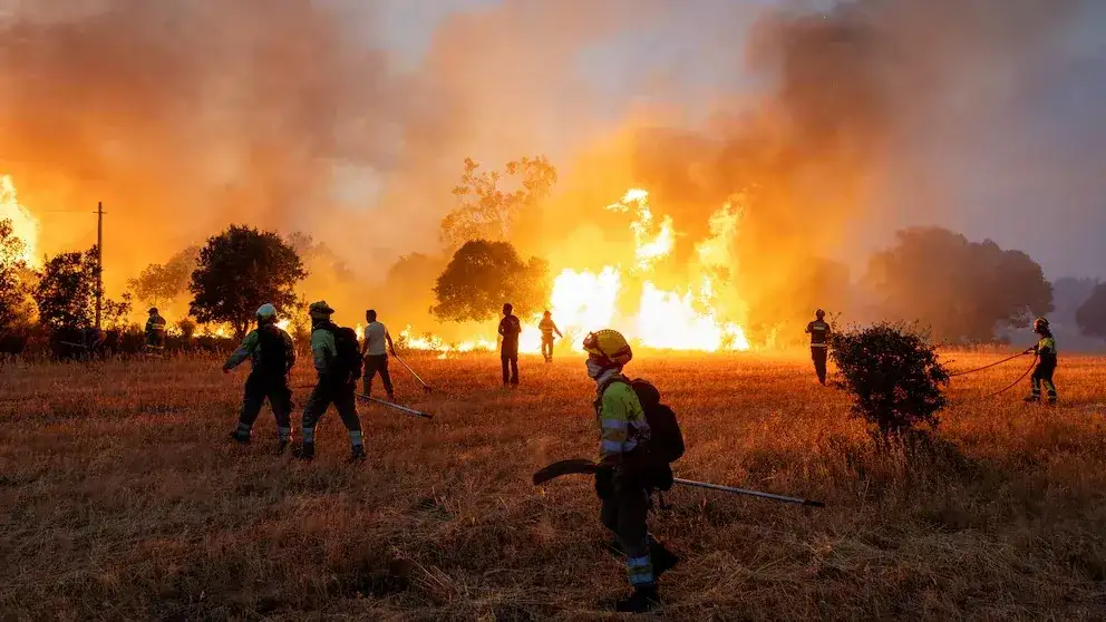 España sufrió la pérdida de más de 240.000 hectáreas por incendios forestales
