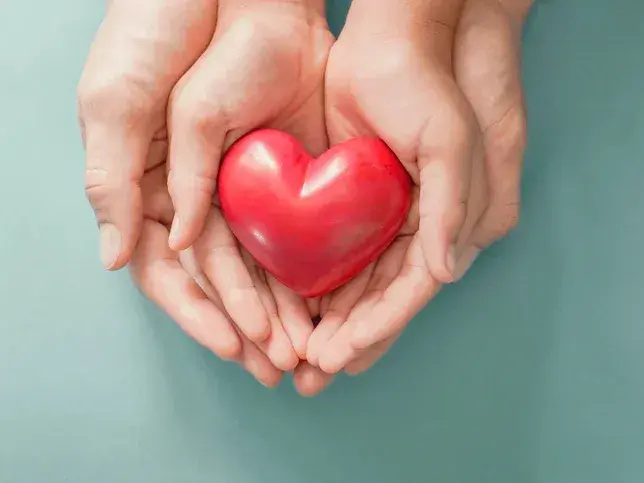 Día Mundial del Corazón: cómo prevenir enfermedades cardiovasculares y cuándo consultar