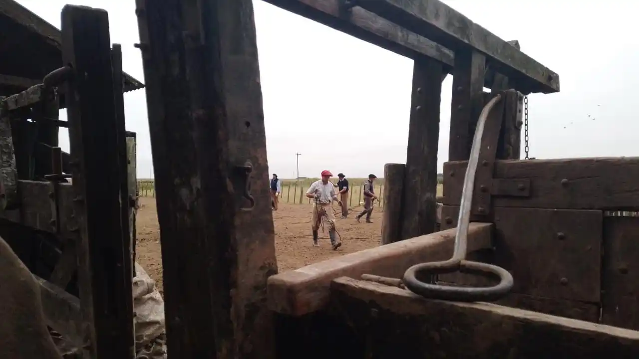 “Es un día a día, no sabés con qué te podés encontrar”; Eduardo “Tati” Taborda, peón rural