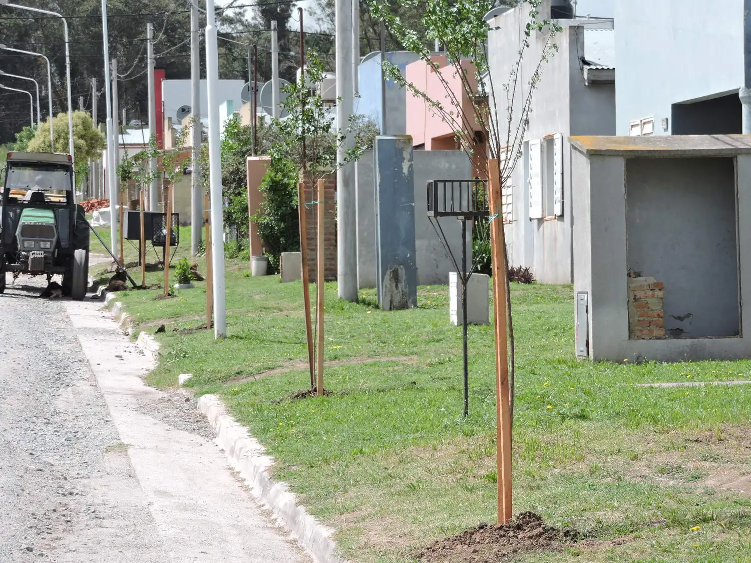 El Municipio anunció la apertura del Registro Único de Podadores del partido de Tandil