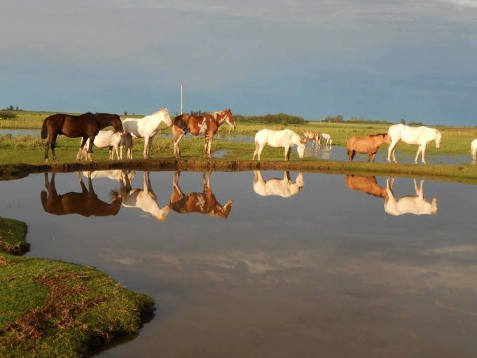 Seguiense obtuvo un premio en concurso fotográfico