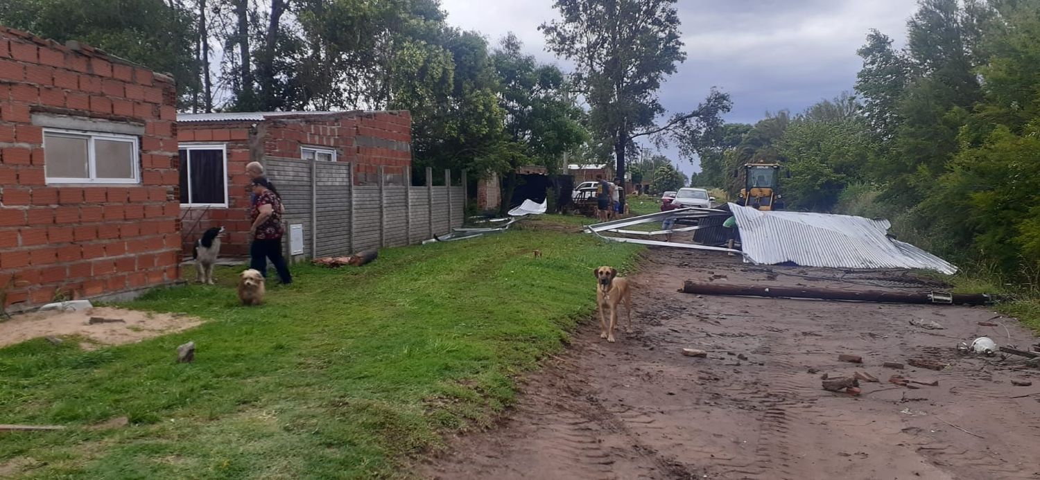 Destrozos, árboles caídos y un camión volcado, las consecuencias del temporal en Pehuajó: qué dijo el intendente