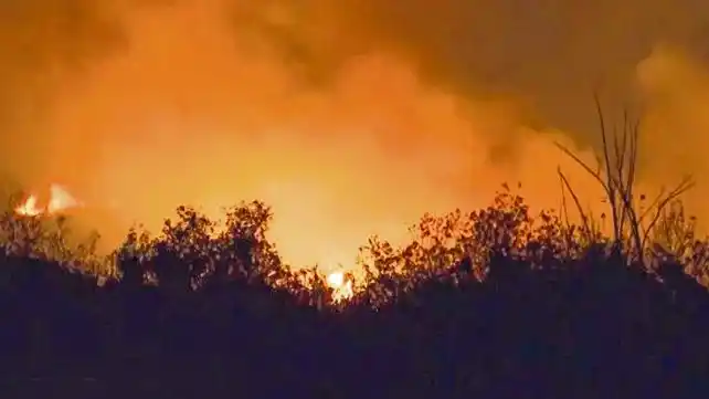 Se constituye el Comité de Emergencia Ambiental por quema de islas