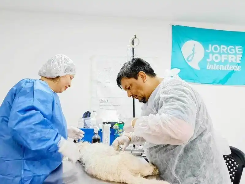 El castramóvil municipal atenderá la 
próxima semana en el barrio 28 de Junio