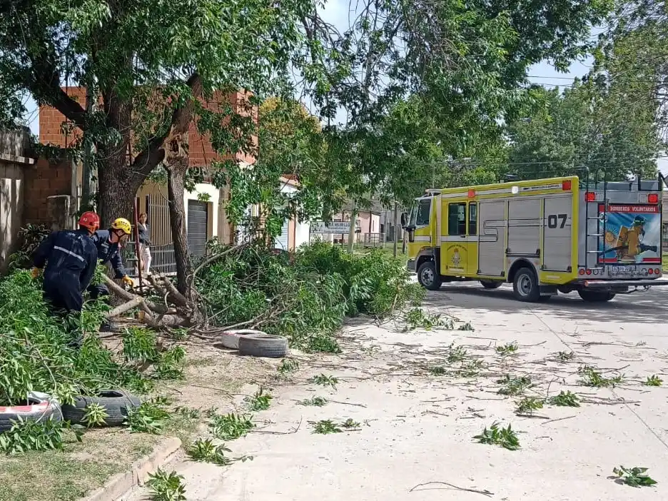 Ramas caídas a causa del viento en Venado. Crédito: Bomberos de Venado Tuerto.