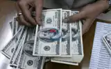 Los compradores de dólar oficial no podrán operar divisas financieras