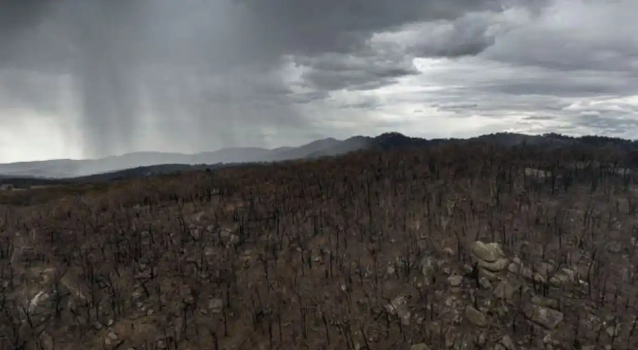 Buenas noticias: llueve intensamente en Australia