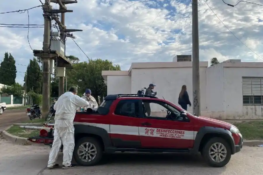 Chikungunya en Morteros: crecen los casos y refuerzan fumigaciones