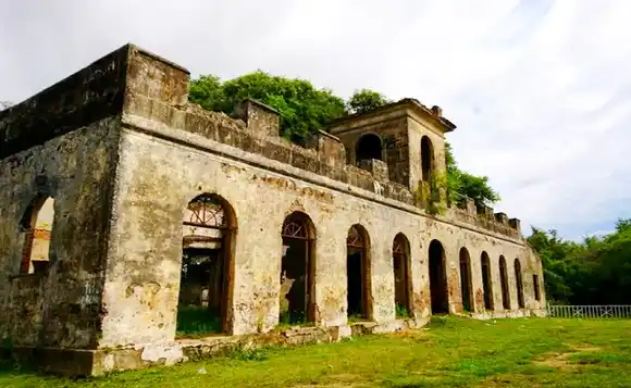 Se abrió oficialmente el concurso  para la puesta en valor del Naranjal de Pereda