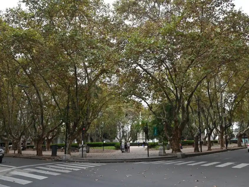 Desvíos en los recorridos de múltiples líneas de colectivos cerca de la plaza 25 de mayo.