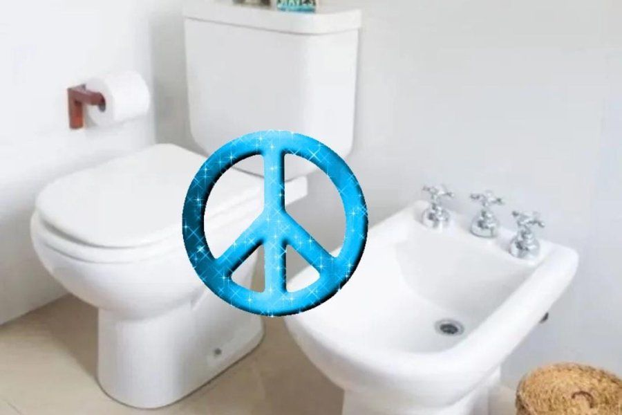 Una legisladora de Unión por la Patria presentó un proyecto para declarar al inodoro como “un lugar para la paz”