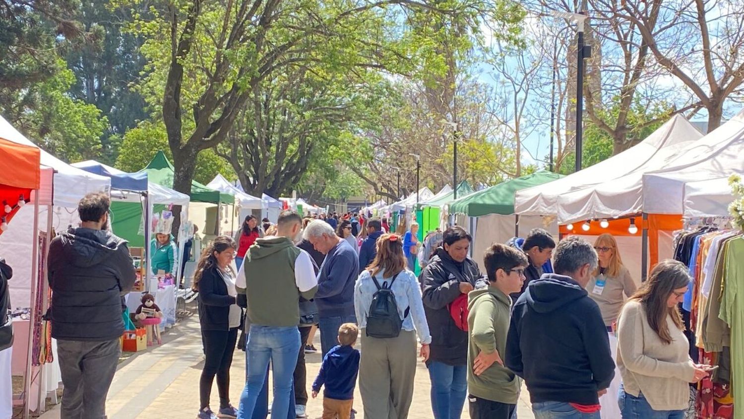 Amplia agenda de actividades para el fin de semana en Venado Tuerto