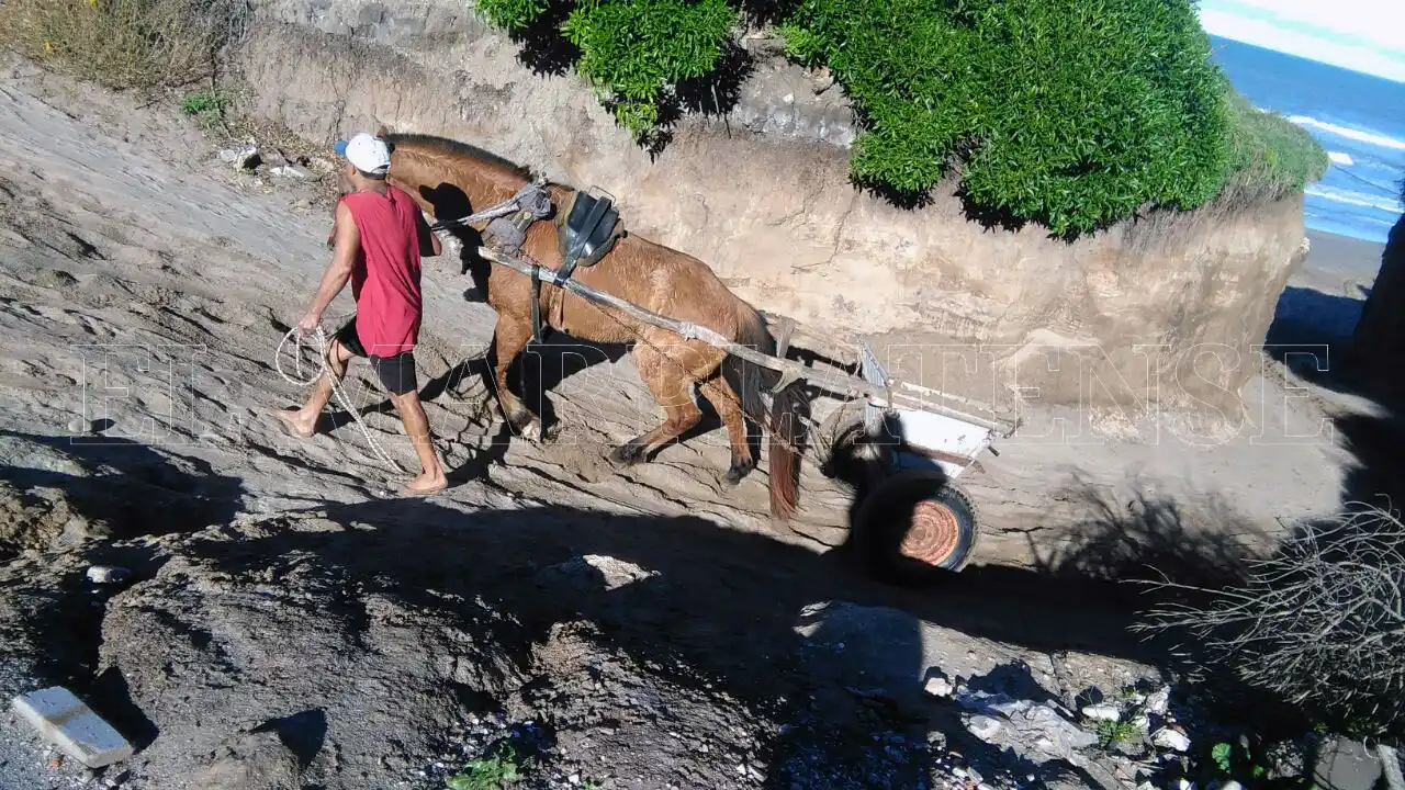 Desarticularon a banda que extraía y comercializaba arena de las playas
