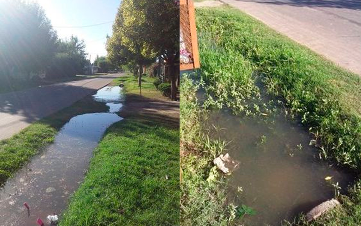 Cloacas tapadas en Aulí 1500