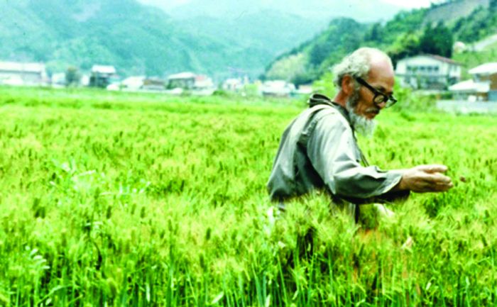 La agricultura natural, aquel espacio de desarrollo espiritual para quien produce alimentos
