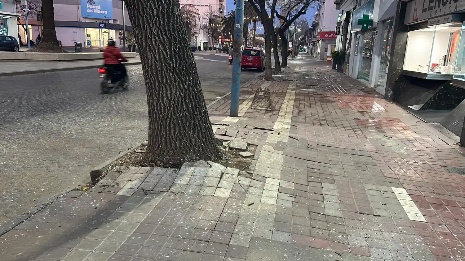 Corte total del trànstio en Avenida Santa Fe al 400 para extraer un àrbol