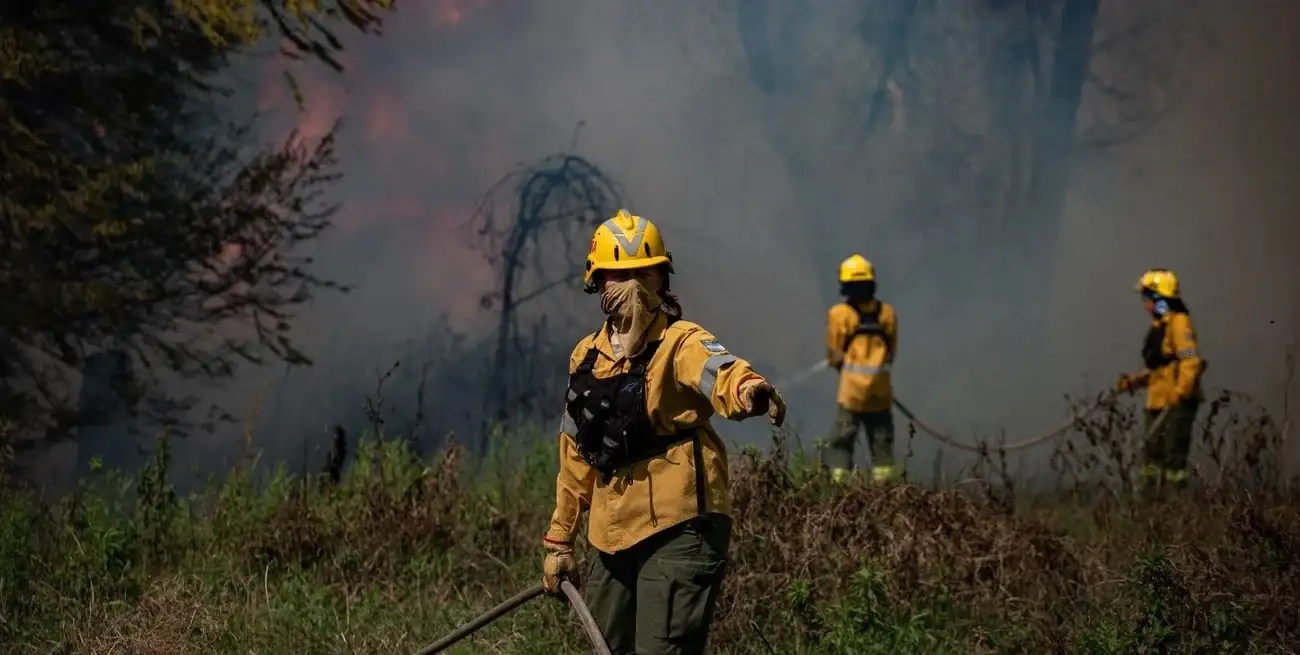 Los incendios de pastizales se inician con facilidad y se expanden con gran velocidad debido a la acumulación de material vegetal seco y a la presencia de vientos persistentes.