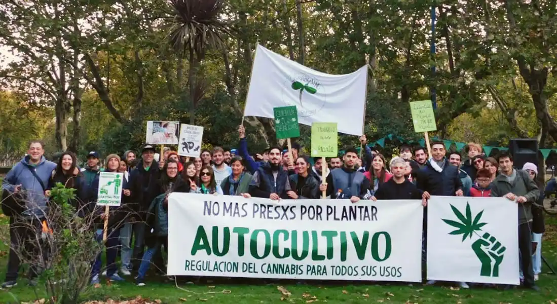 Solicitaron el uso legal de la marihuana