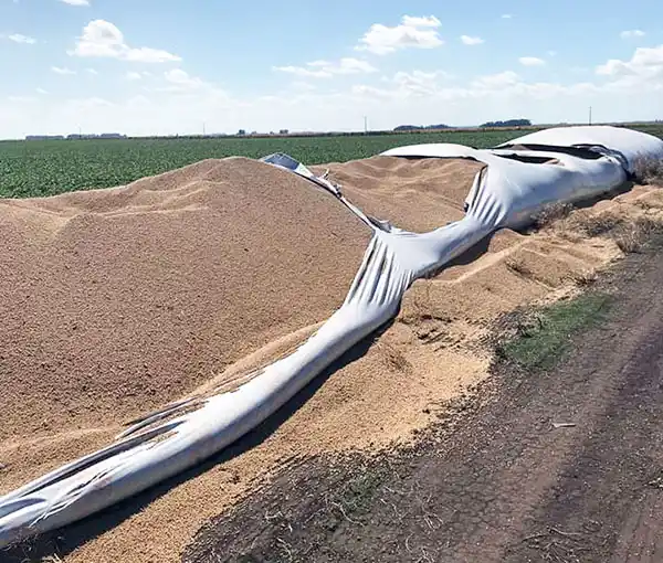 Sustraen 20 toneladas de soja luego de destrozar un silobolsa en un campo