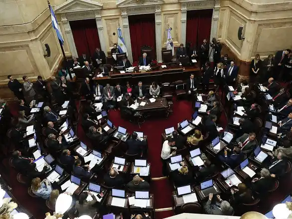 Con apoyo opositor, el Senado convirtió en ley el Presupuesto 2019