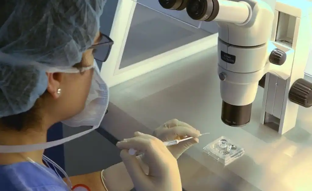 El Parlamento de Portugal aprueba la inseminación “post mortem”