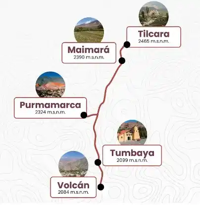 tren solar
