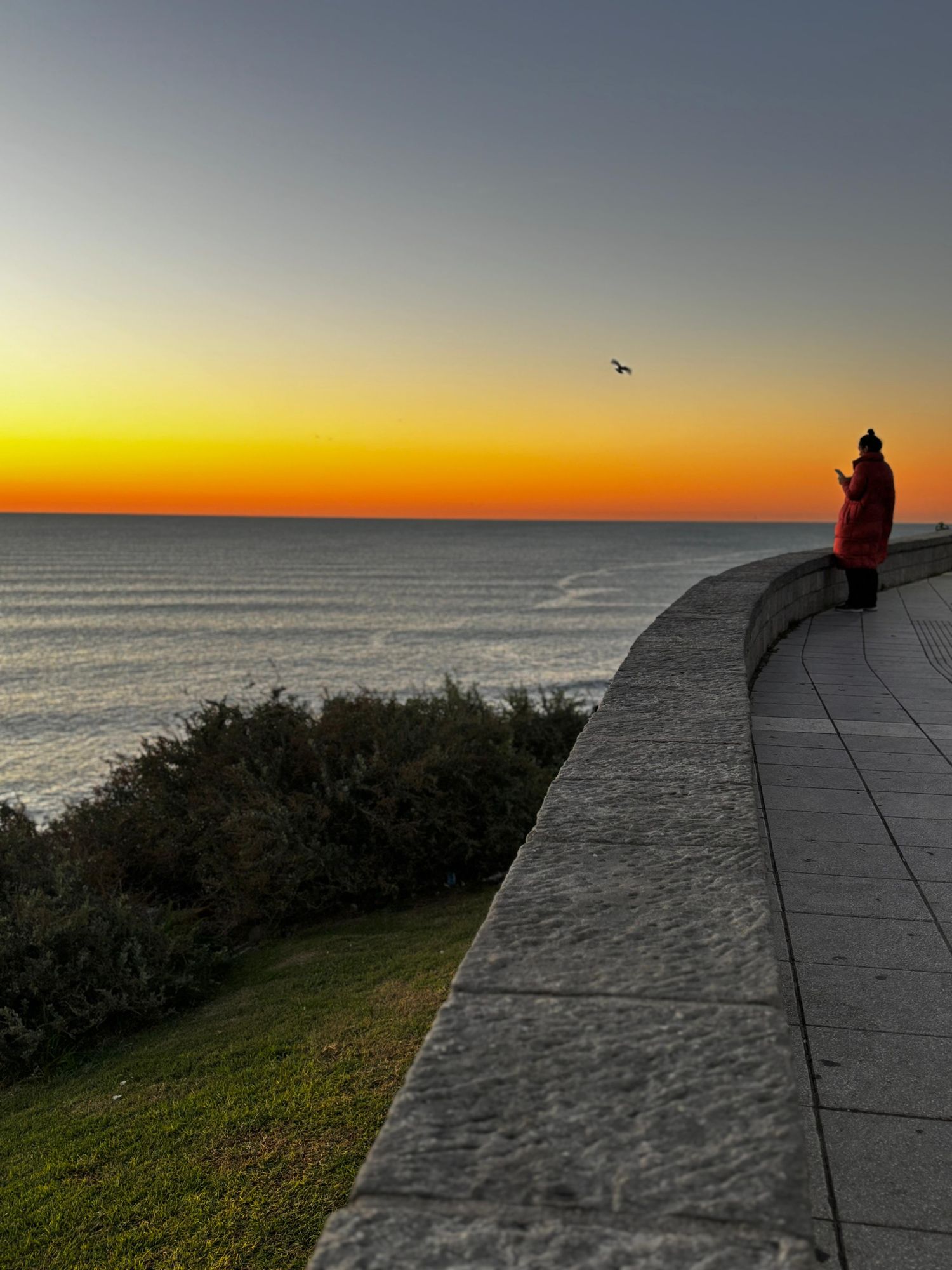 El sol vuelve a Mar del Plata tras las lluvias