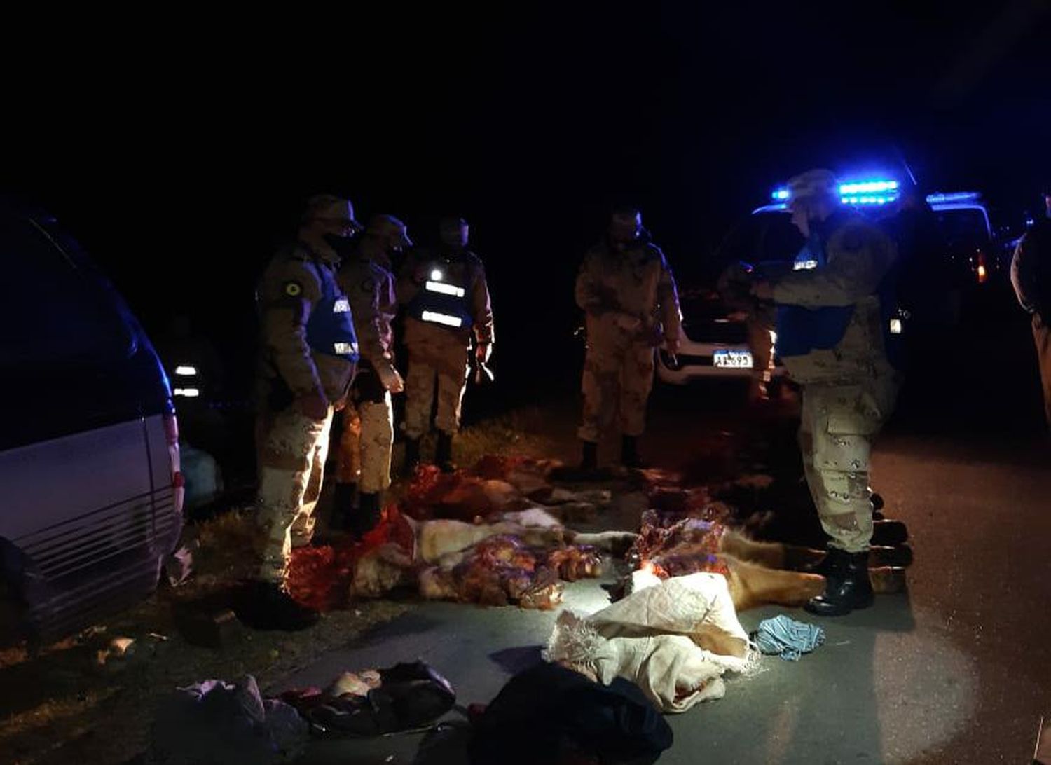 Luego de una persecución, la Policía Rural detuvo a cuatro cuatreros con cortes cárnicos de tres vacunos faenados