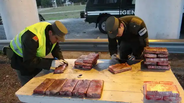 Gendarmería secuestró 24 kilos de marihuana