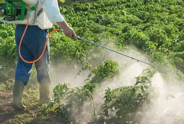 Aprobaron el nuevo protocolo de uso de agroquímicos en Entre Ríos: qué restricciones y permisos contempla